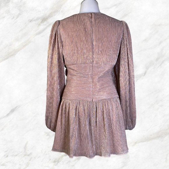 Lovers and Friends Josephine Mini Dress in Rose Gold & Silver - Picture 12 of 12
